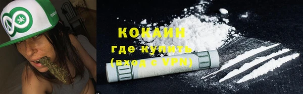 хмурый Верея