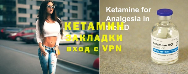 хмурый Верея