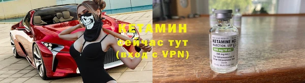 хмурый Верея