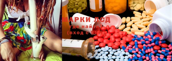 хмурый Верея