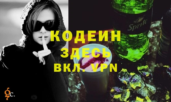 хмурый Верея