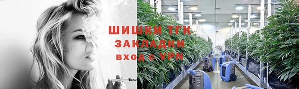 хмурый Верея