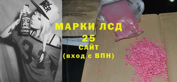 хмурый Верея