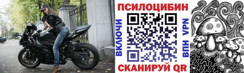 ссылка на мегу ТОР  купить наркотик  Кущёвская  Галлюциногенные грибы MAGIC MUSHROOMS 